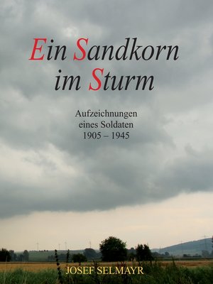 cover image of Ein Sandkorn im Sturm